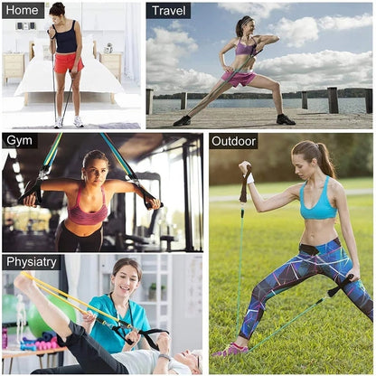 The Orthofit Resistance Elastic Bands
